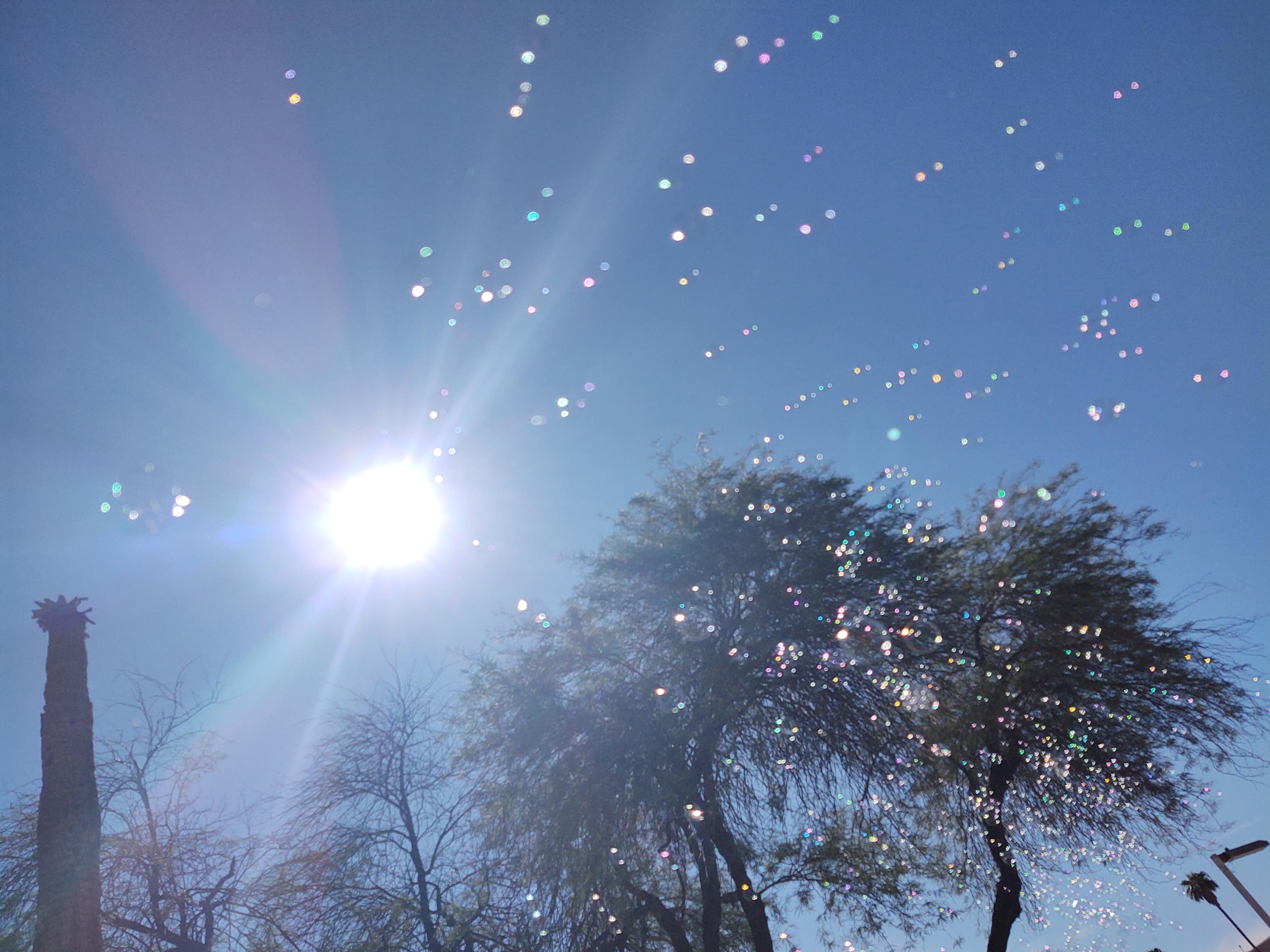 photo looking up towards the sun, bubbles float overhead with trees in the midground