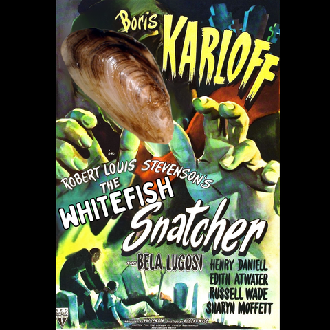 A parody of the old horror movie "the body snatcher" but the face of the monster has been replaced by a quagga mussel and the title has been changed to "the whitefish snatcher".