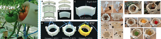 A multiple panel diagram showing: a green and red tomato on the vine with a white cylinder surrounding the red tomato;  details of the consruction of the cylinder; a cylinder/hexagon fitting numerous fruits and vegetables.