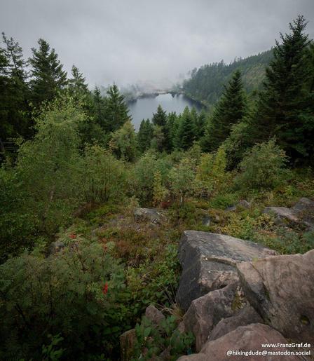 A misty veil of soft gray clouds lingers over this tranquil mountain lake, creating an air of quiet mystery. The dense forest, a lush tapestry of evergreen pines and scattered deciduous shrubs, frames the still waters below. Vibrant green foliage contrasts subtly with the muted tones of weathered rocks in the foreground, adding texture to the scene.

The lake itself rests peacefully, its surface barely disturbed, reflecting the muted light filtering through the overcast sky. A faint outline of …