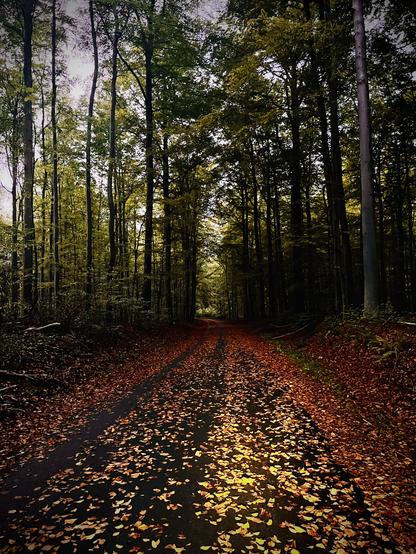 By evening with my 1400 lux light (not a full power)