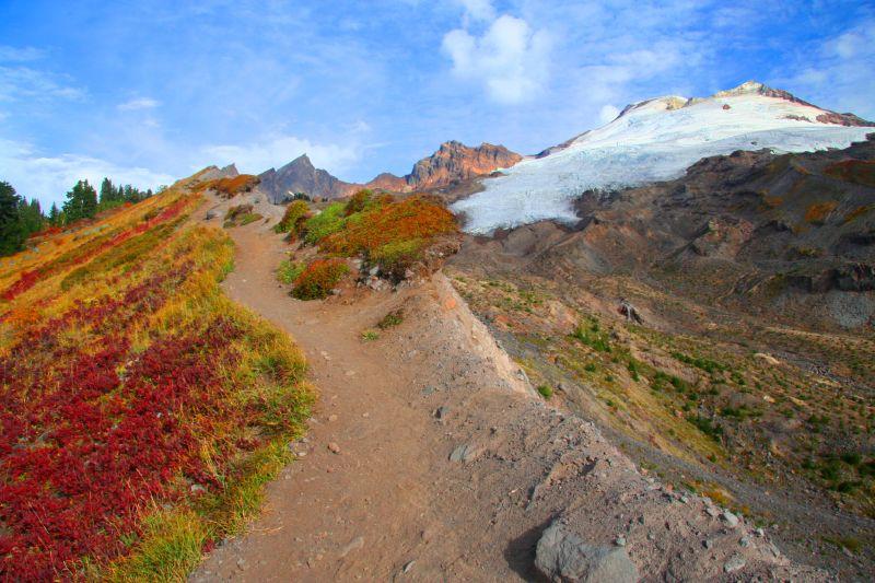 A dirt path follows a moraine ridge through fairytale autumn colors in low-growing heather and huckleberry patches, upwards toward a white mountain above, mostly covered by a glacier stretching down its flank. The sky is blue with whispy white clouds, and the vegetation is splashed with reds, greens and gold.