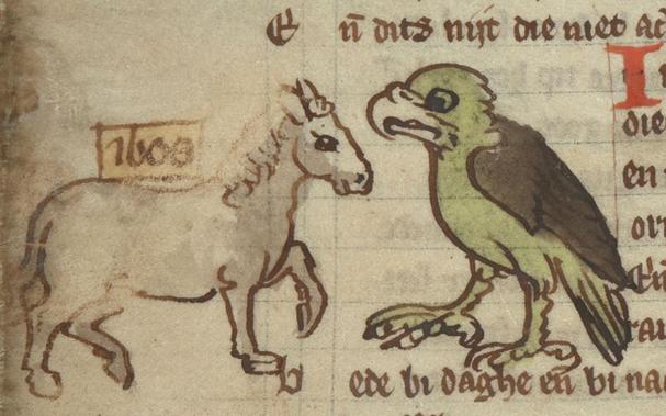 A large grey-winged, green body parrot-like bird faces left between text to a trotting horse which is mostly outlined, although there seems to be pale shading. The bird seems taller than the horse. Image from British Library, Additional MS 11390 (Der Naturen Bloeme), folio 41r.