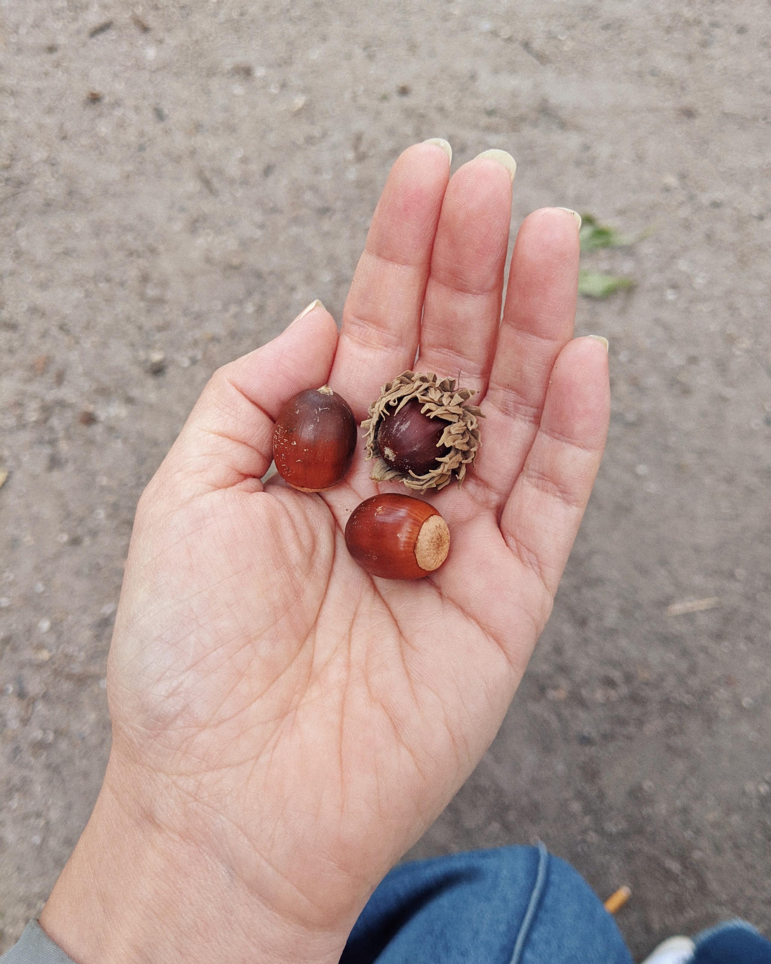 ๆใฎๅนณใซไนใใใฉใใใ3ใคใฎๅ็