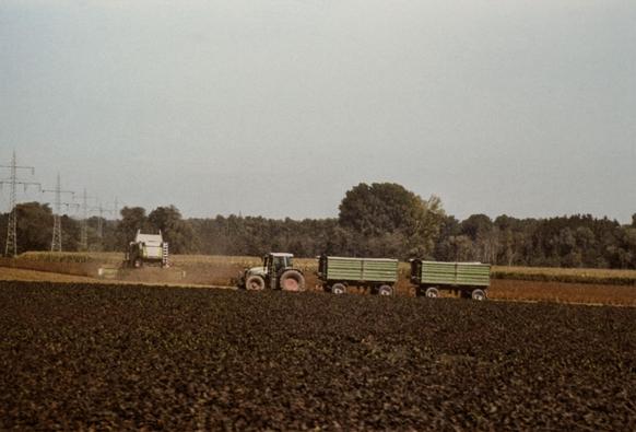 Behind a field of dirt, a tractor with two trailers stands on a field with a combine harvesting a cornfield in the background. The horizon is hidden by a forest.