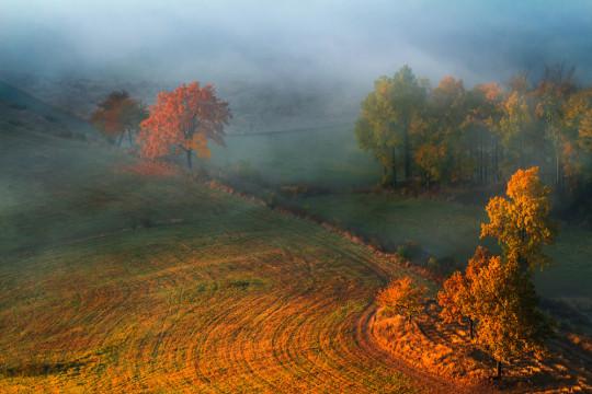 Polish countryside in autumn.