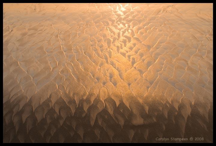 Looking down on a sandy beach that has amazing patterns. Closest to us, the patterns are almost like flower petals.  The top of the image has wet that is reflecting light as gold.  The rest of the white sand looks orangey pink with blue shadows to show the pattern.  In the lower third of the image, there is a clear line of shadow. Orangey petals are flowing into brown wet sand.  Sorry for the clumsy description.  It's a really beautiful pattern of shadows, wet sand, and early morning light.