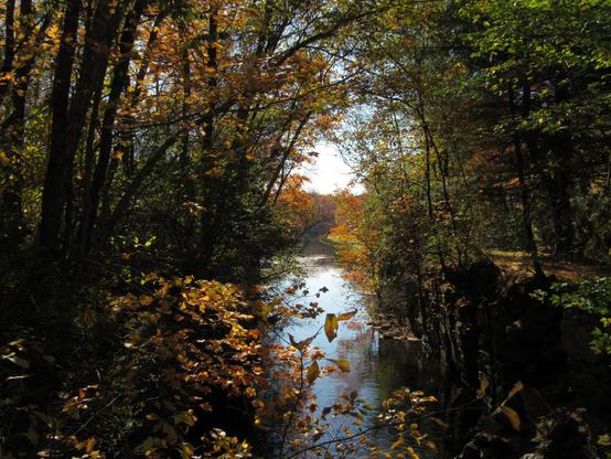 View through the long defunct lock #24 at Walnutport, Pennsylvania. The stone wall on the right is starting to crumble. There are both deciduous trees (in autumn color) and pine trees on either side. The view of the actual canal extends from the foreground to the middle of the frame. It bends there so that the tree line that bends alongside of it is revealed in the distance.