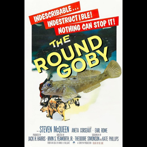 A vintage horror movie poster depicting a round goby as indescribable, indestructible, and nothing can stop it. 