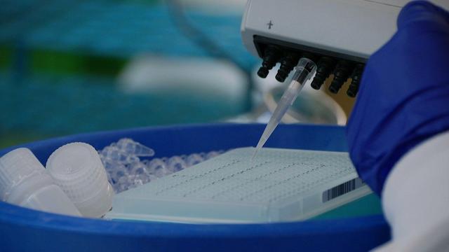 La investigació de la IRB obre la porta a abordar de manera diferent els tractaments en casos de metàstasi (3Cat)