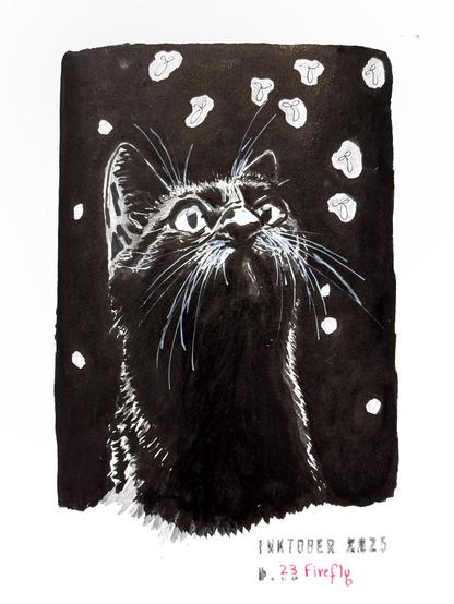 Black ink drawing of a black cat looking up and gazing at whimsical white specks resembling fireflies against a black background. The artwork is titled “Inktober 2025” and "23 Firefly."