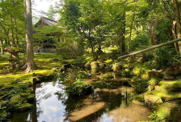 Japanese temple garden

