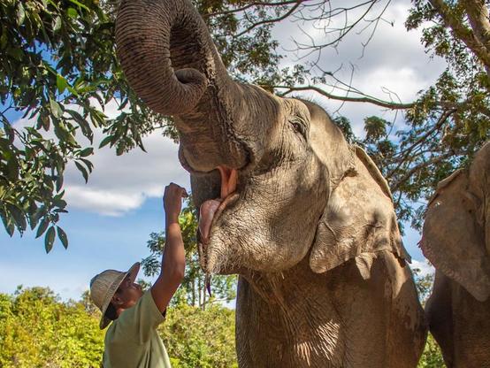 Experience Cambodia Unique Tours