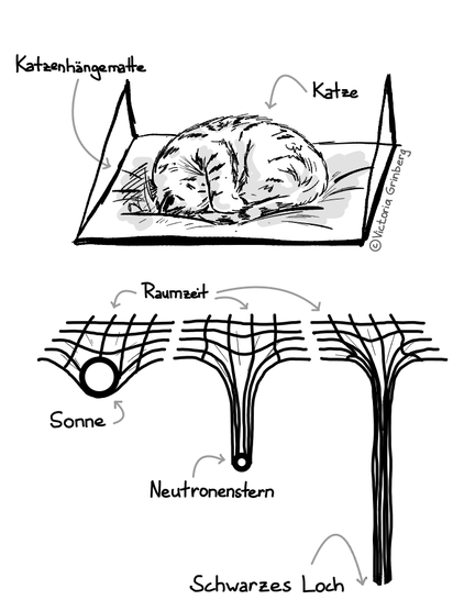 Schwarz-weiß digitale Zeichnung: oben eine Katze in einer Katzenhängematte, die sich unter dem Gewicht der Katze verbiegt.

Unten 2-dimensional Folie als Raumzeit mit verschiedenen Gegegenständen drauf: die Sonne führt zur leichten Krümmung, ein Neutronenstern zu einer starken, bei einem Schwarzen Loch ist die Krümmung so stark, dass es außerhalb des Blatts reicht.