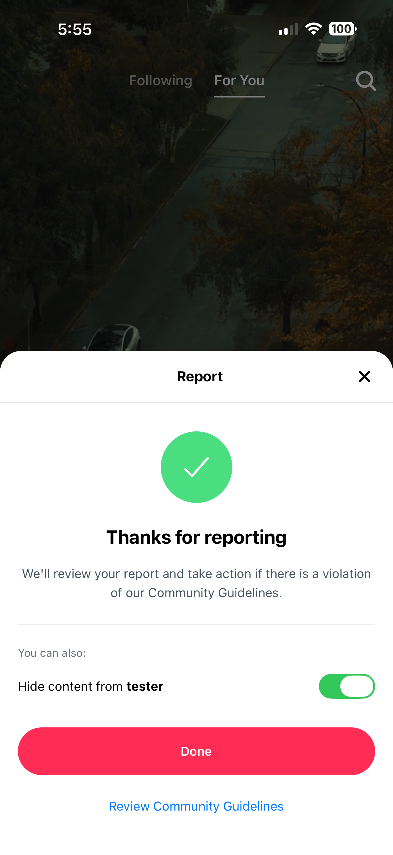 New Loops app report demo
