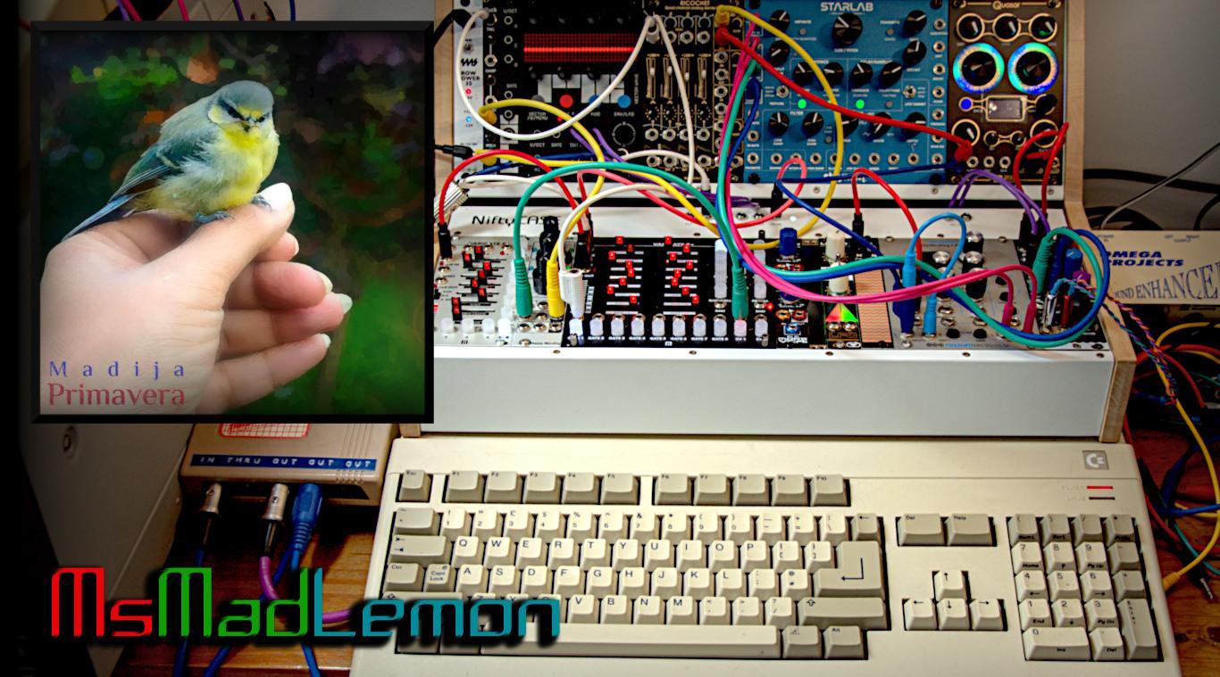 commodore Amiga 500 with a modular synthesizer on top of it alongside album cover with a picture of a bird sat on Maddi's hand.