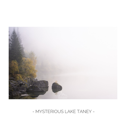 Fog setting on lake Taney - Switzerland 