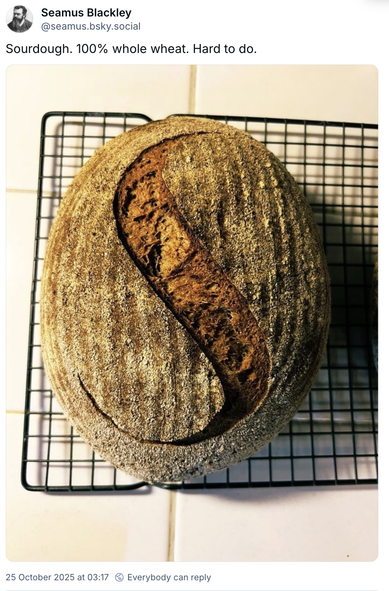 screenshot from Bluesky:
Seamus Blackley
@seamus.bsky.social
Sourdough. 100% whole wheat. Hard to do.
Photo: the most perfect loaf of bread you'll ever see, on a cooling rack.
25 October 2025 at 03:17 
