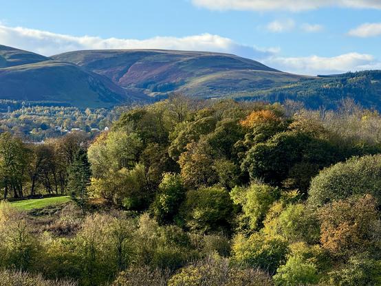 Autumnal tree colors, purple heather rolling through the pentland hills