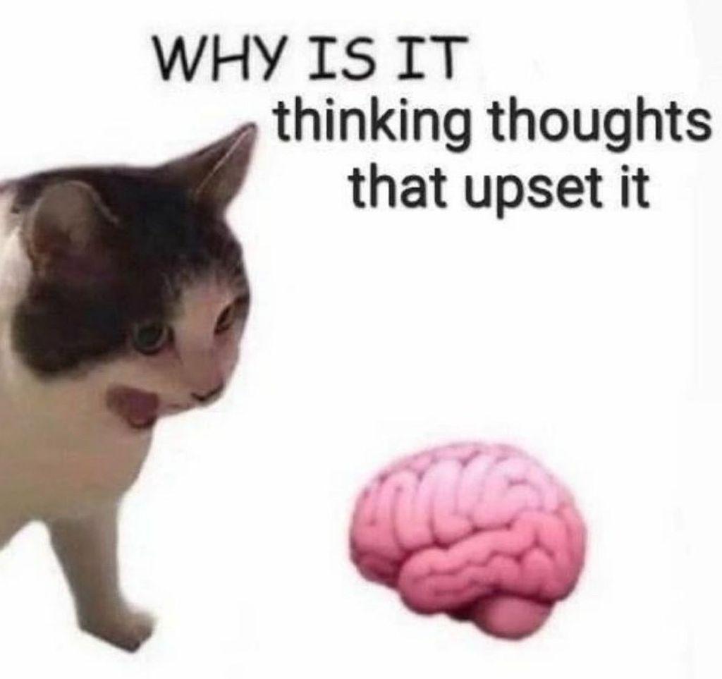 A black and white cat with a shocked, open-mouthed expression looks down at a small, pink brain. Text above reads: "WHY IS IT thinking thoughts that upset it".
