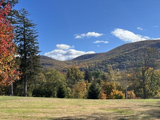 a vivid blue sky with a few puffy clouds

hills in the background in shades of green, yellow and gold

at left in the foreground is a tree with brilliant orange leaves, other trees slightly farther away have yellows and golds
a stretch of lawn in the middle foreground—it too is gold/green/brown