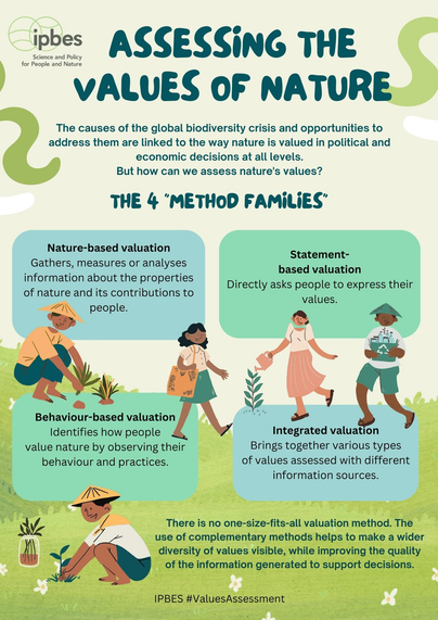 IPBES ASSESSING THE VALUES OF NATURE
The causes of the global biodiversity crisis and opportunities to address them are linked to the way nature is valued in political and economic decisions at all levels. 
But how can we assess nature's values?
THE 4 "METHOD FAMILIES
Nature-based valuation
Gathers, measures or analyses information about the properties of nature and its contributions to people.
Statement-based valuation
Directly asks people to express their values.
Behaviour-based valuation 
Identifies how people value nature by observing their behaviour and practices. 
Integrated valuation
Brings together various types
of values assessed with different information sources.
There is no one-size-fits-all valuation method. The use of complementary methods helps to make a wider diversity of values visible, while improving the quality of the information generated to support decisions.
IPBES #ValuesAssessment