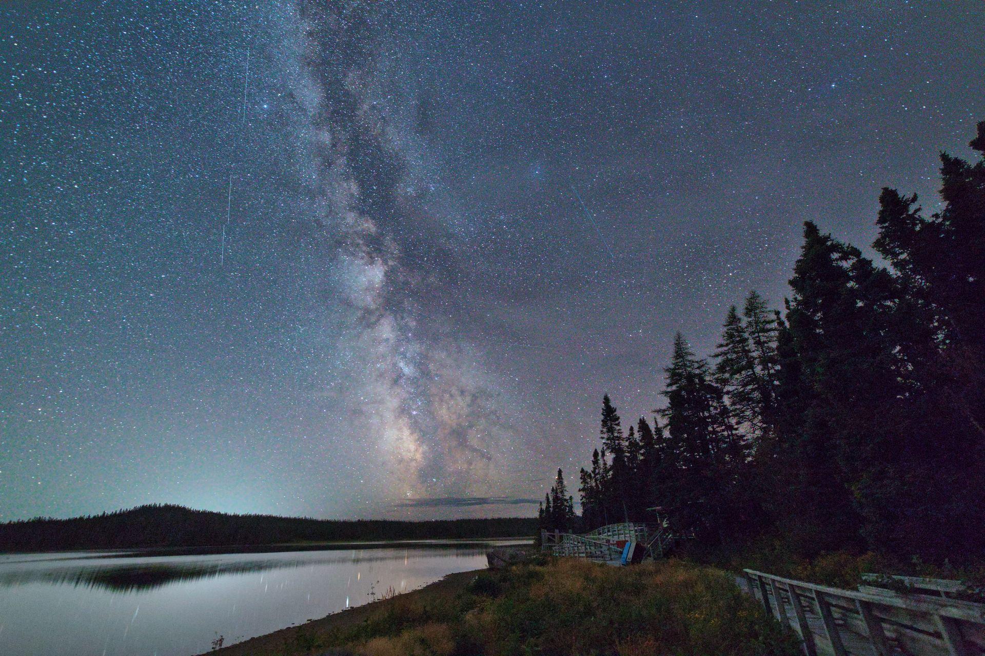 Night time image from the shoreline of a pond. Pond is visible to the lower left of the image. There are trees rising up to the right from the pond. Rising above the pond, a starry sky is visible with the Milky Way rising up and to the left. The dark lanes (dust obscuring starlight) of the Milky Way are evident. The Milky Way is brightest and slight yellow colour near the horizon/pond.