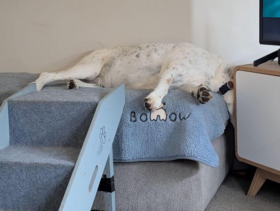 A long dog is asleep on an ottoman, with its head hanging off one end but obscured behind a cabinet