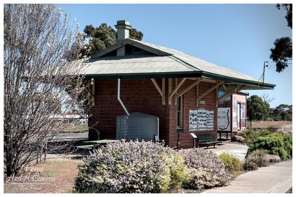 A close up, sunlit photo of the historic Dumbleyung Railway Station building.

The single-story building is constructed of red brick with a wide, gabled, corrugated metal roof that extends out over the platform, supported by light coloured wooden brackets.

A grey water tank sits against the brick wall. To the right of the water tank is an informational display board. In the foreground, there are bushes with small purple flowers.

On the left, a tall, bare tree is visible, and to the right, green foliage and a paved path border the building.