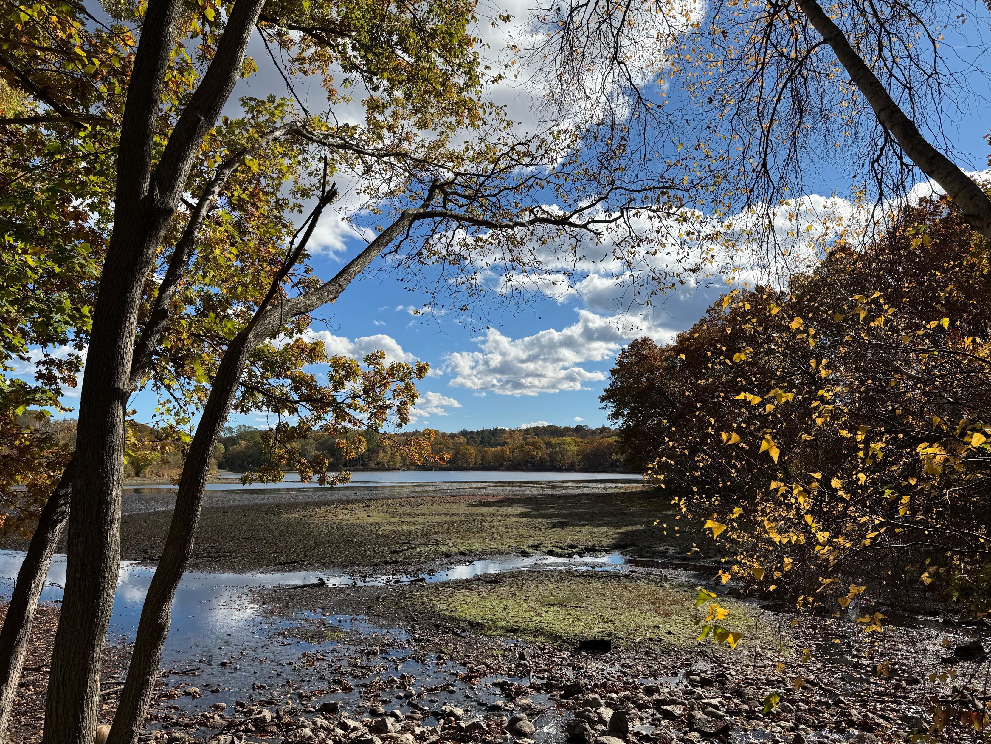 This photo captures a tranquil autumn landscape featuring a partially dried lake surrounded by trees in rich fall colors. Golden leaves frame the scene on both sides, while the remaining patches of water reflect the bright blue sky and scattered white clouds above. The sunlight filters through the trees, highlighting the textures of the rocky shoreline and the contrasting greens and browns of the exposed lakebed. It’s a peaceful moment that conveys the quiet beauty of late fall as the season begins to turn toward winter.