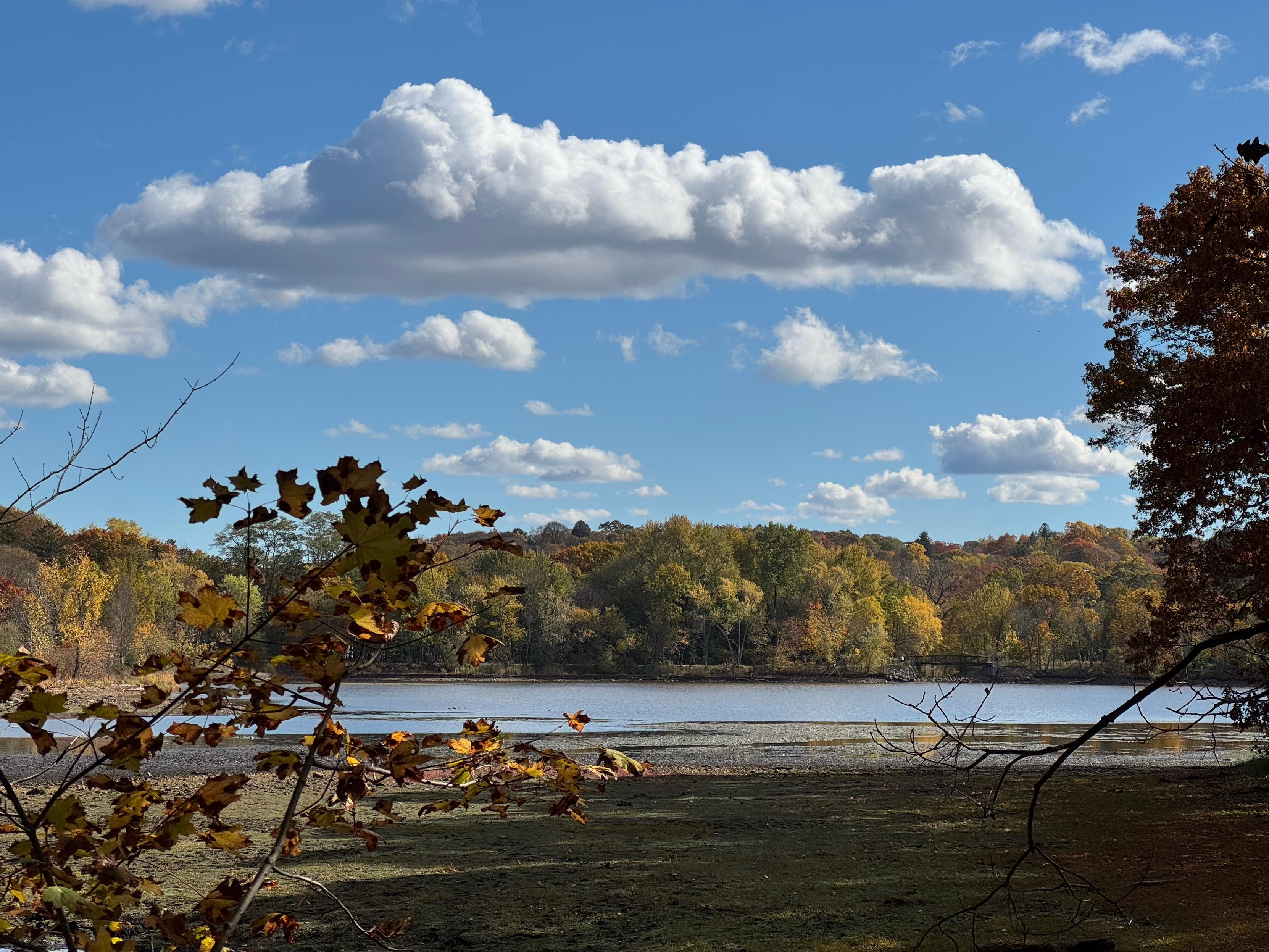 This photo captures a calm autumn afternoon by a lake, framed by trees with leaves turning shades of gold and rust. In the foreground, a few remaining brown leaves cling to branches, while across the water, the opposite shore glows with fall foliage under bright sunlight. Puffy white clouds drift through a vivid blue sky, reflected softly on the lake’s surface below. The scene conveys a peaceful sense of seasonal transition, with the stillness of the water contrasting the lively textures and colors of the changing trees.