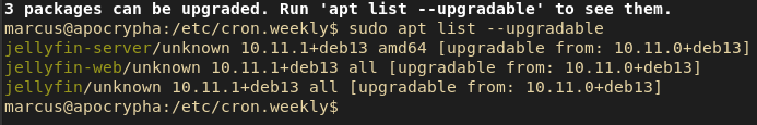A screenshot of the terminal window on my server showing that new versions of the following packages are available to install:
- jellyfin-server
- jellyfin-web
- jellyfin