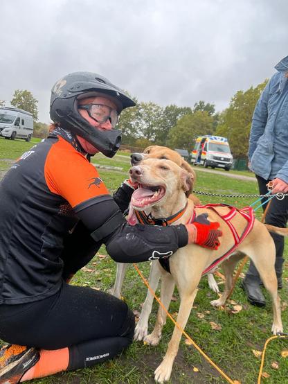 Mein Team im Ziel. Ich knie auf dem Boden und lobe die Hunde, freue mich über ihre Leistung. Über unsere Leistung.