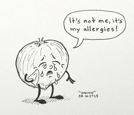 Ink drawing of an anthropomorphic cartoon onion, shedding tears and wiping its eye with a hanky, and saying, "It's not me, it's my allergies!"