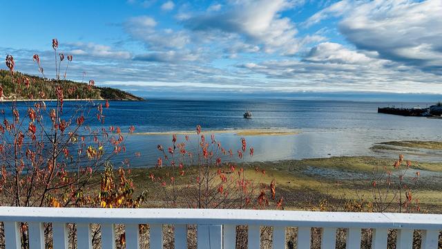 Die Bucht von Tadoussac unter blauem Himmel mit ein paar Schäfchenwolken.
Das Meer ist ebenfalls leuchtend blau. Es herrscht Ebbe. Im Bordergrund ein Zaun und ein Strauch mit dürren Blättern.