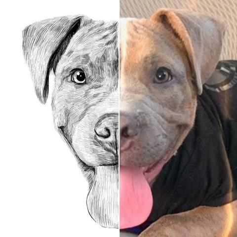 Black and white drawing of a pit bull puppy named Bane, with the right half of the image being the reference.