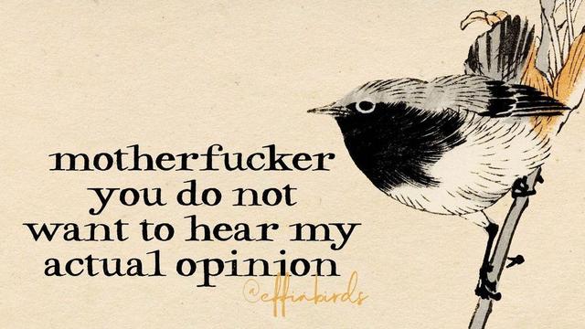 A painting of a bird next to the words "motherfucker you do not want to hear my actual opinion"