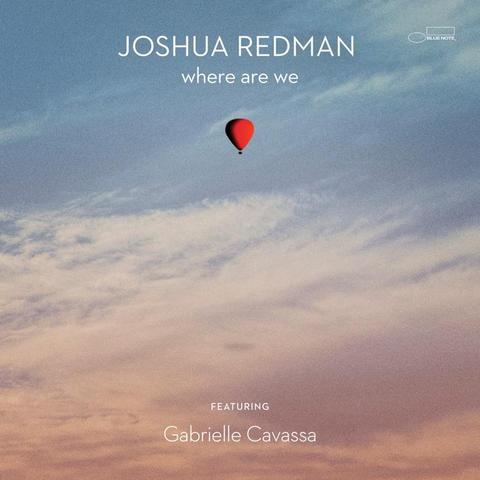 An image of the cover of the record album 'Chicago Blues' by Joshua Redman