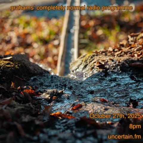 Water running over fallen leaves towards a drain in the distance.

Orange text overlaid promoting a radio show, details in the main post.