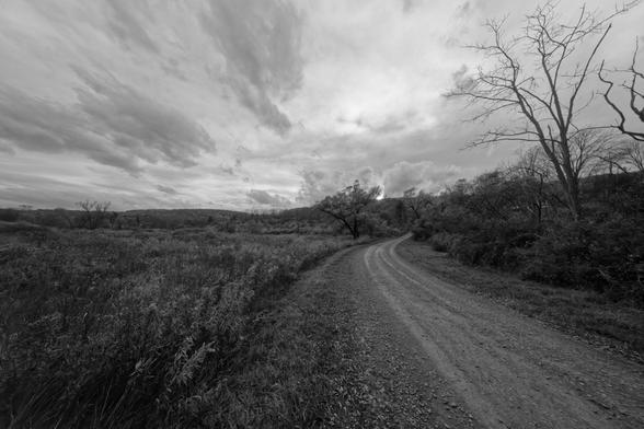 Black and with photo of dirt road curving in from lower right with a wet meadow on the left and krinkly trees on the right and a dramatic sky above