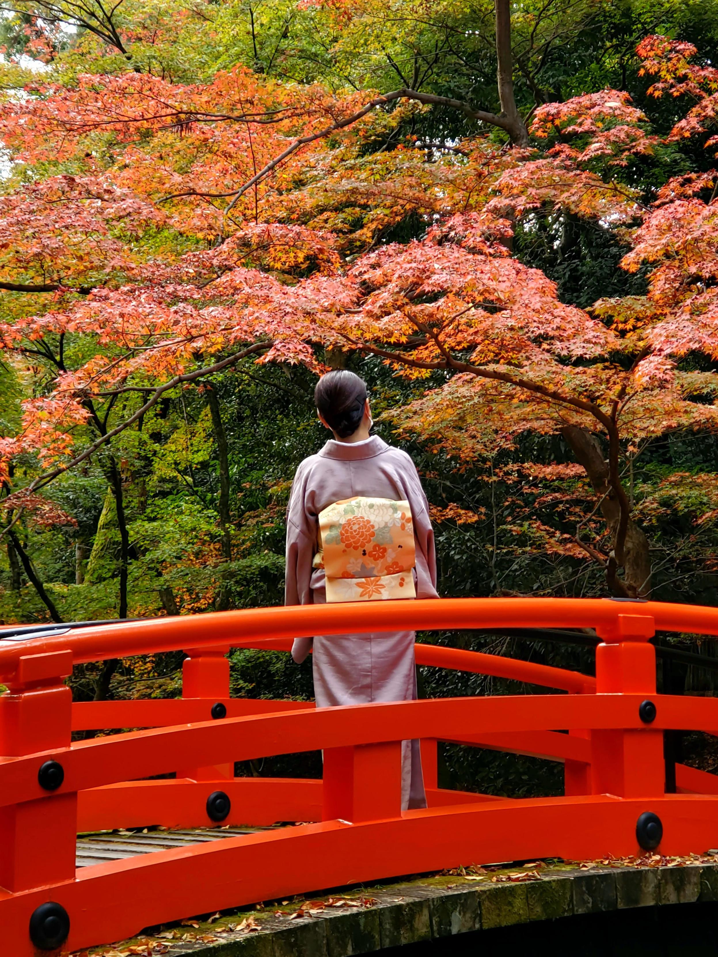 Enjoying the autumn colours at Kitano Tenmangu.
