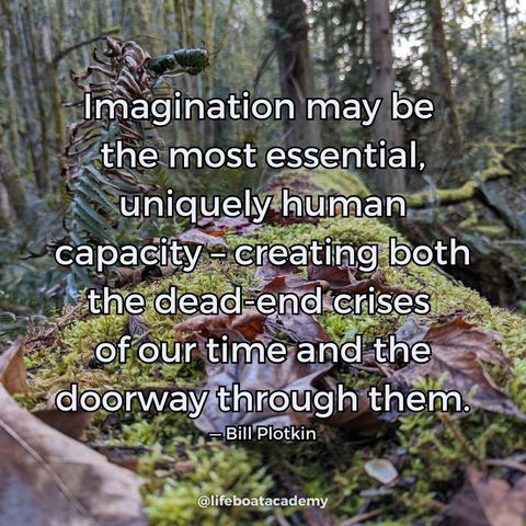 “Imagination may be the most essential, uniquely human capacity – creating both the dead-end crises of our time and the doorway through them.”
— Bill Plotkin