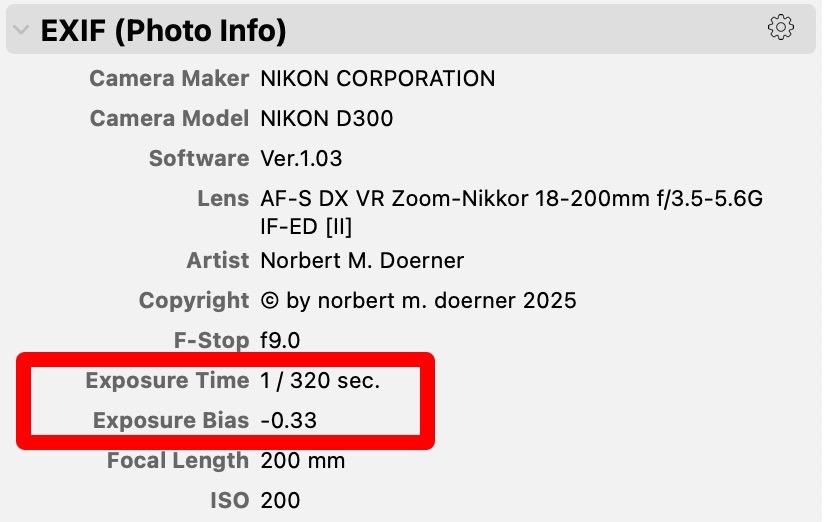 Sorry, no caption provided by author