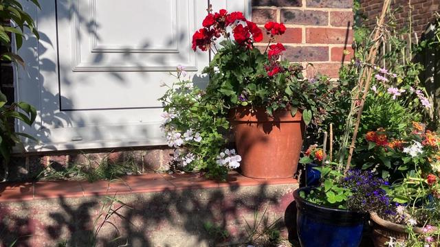 A so-called writer's desk. In fact, a doorstep, with a nice pot of geraniums and some other cheery flowers