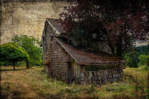 Old House On The Lavender Farm! https://pixels.com/featured/old-house-on-the-lavender-farm-thom-zehrfeld.html Situated close to the Coast Range in Oregon this is a capture of an old house on a lavender farm that has been abandon for years. #abandonedhouse, #abandonedplaces #decay #oldhouse #Oregon #PNW  #BuyIntoArt #Art #PhotographyIsArt #Photography #Fotografie
#ArtForSale #ArtMatters #MastoArt #Mastodon #ArtforInteriorDesign 
#InteriorDesign #Wallart #WallArtForSale #PhotoOfTheDay #FediGiftShop  #GiftIdeas #FediArt #Prints #FediArtShop
