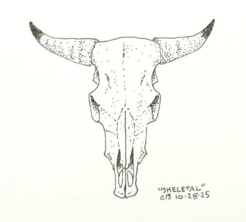 Ink drawing of a cow skull with black-tipped horns.