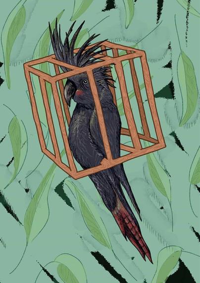 Image:
Black Cockatiel in a cage 

Context: CFMEU administrator is coming after Joel Shackleton, the vic construction branch Indigenous Organiser & a Koori Construction Convener, because of fucken course they are.  this artwork in Shaks honour, based off a black cockatiel, Joel’s mobs spirit totem. Defend Shaks!!!!!!
Sam Wallman 