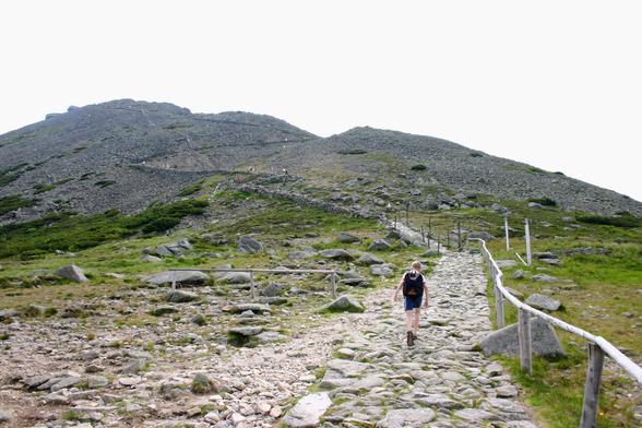Bildbeschreibung von KI:
Das Foto zeigt eine Berglandschaft mit einem steinigen Wanderweg, der in Serpentinen den Hang hinaufführt. Der Weg ist mit unregelmäßigen Steinen gepflastert und wird von einem einfachen Holzgeländer gesäumt, das den Wanderern Orientierung und Halt bietet. Im Vordergrund geht eine einzelne Person bergauf. Sie trägt kurze Hosen, Wanderschuhe und einen schwarzen Rucksack. Die Umgebung besteht aus grünem, niedrigem Gras, verstreuten Felsen und kleinen Sträuchern. Der Berg selbst ist größtenteils karg und mit grauen Steinen bedeckt, die höher oben dichter werden. Einige weitere Wanderer sind weiter oben auf dem Weg zu erkennen, als kleine Punkte in der Ferne. Der Himmel ist hell, fast weiß, und leicht bewölkt, ohne dass die Sonne direkt sichtbar ist. Die Szene vermittelt den Eindruck einer ruhigen, anstrengenden Wanderung in einer rauen, offenen Gebirgslandschaft.
