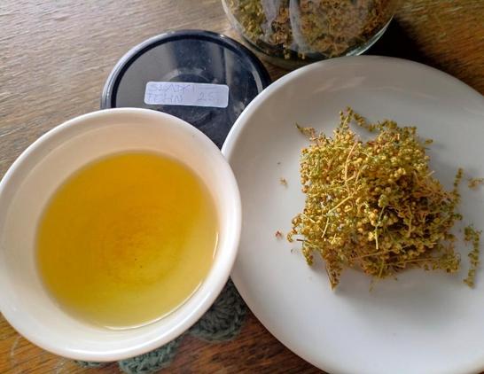 There is a tea plate on the table with a handful of dried sweet wormwood flowers. To the left of the saucer is a small teacup half-filled with tea that is the same color as the dried herb. In the background is the black lid of a glass jar labeled in Slovenian: "Sladki pelin, '25."