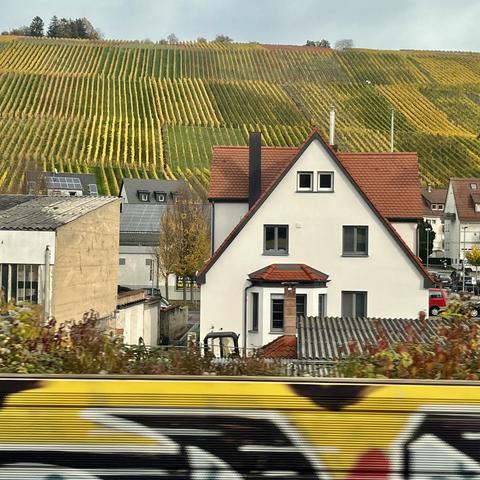 Lärmschutzwand mit Graffiti, dahinter ein älteres Haus, dahinter Weinberge mit "Schraffur" durch die Anordnung der (herbstlichen) Reben.
